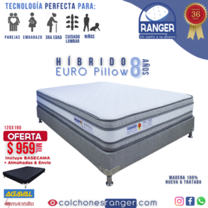 Oferta Híbrido Euro Pillow