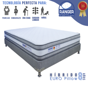 Oferta Híbrido Euro Pillow