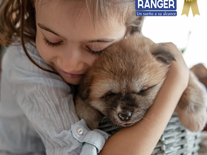 EL MEJOR DESCANSO PARA NUESTRAS MASCOTAS