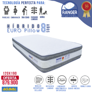 Híbrido Euro Pillow