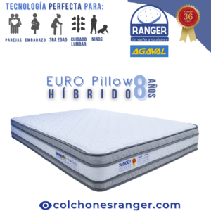 Híbrido Euro Pillow